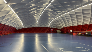 Veldeman covered Structure - basketball