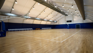 Veldeman stock basketball